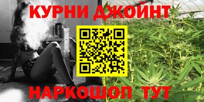 сатива Жуковский