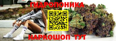 PSILOCYBIN Заводоуковск